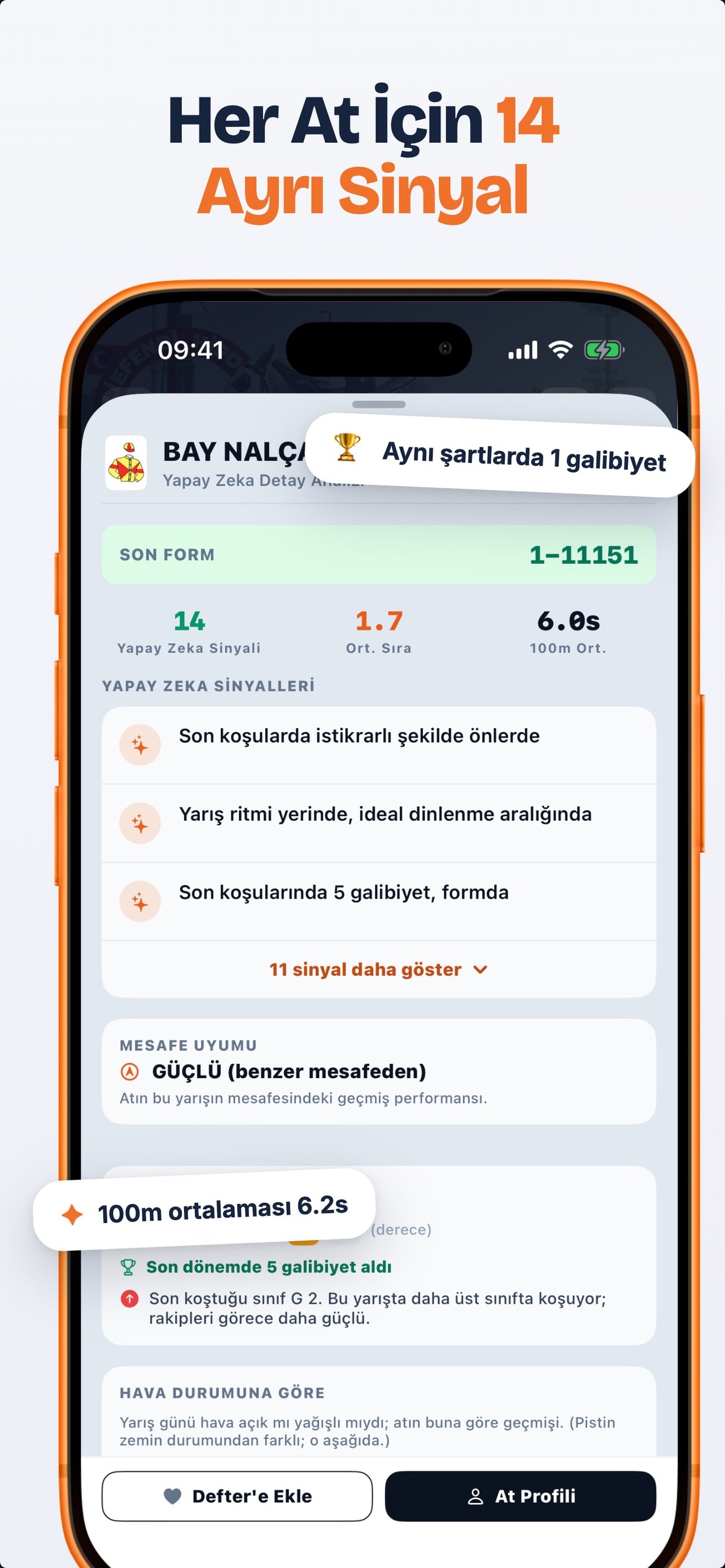 At profili - geçmiş performans