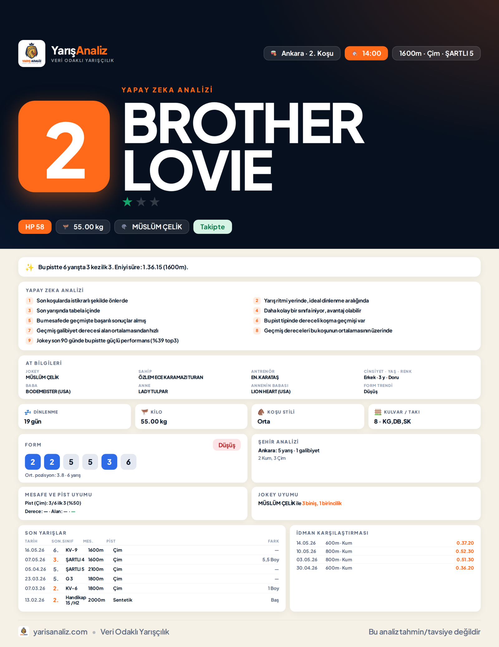 BROTHER LOVIE - Ankara 2. Koşu analizi