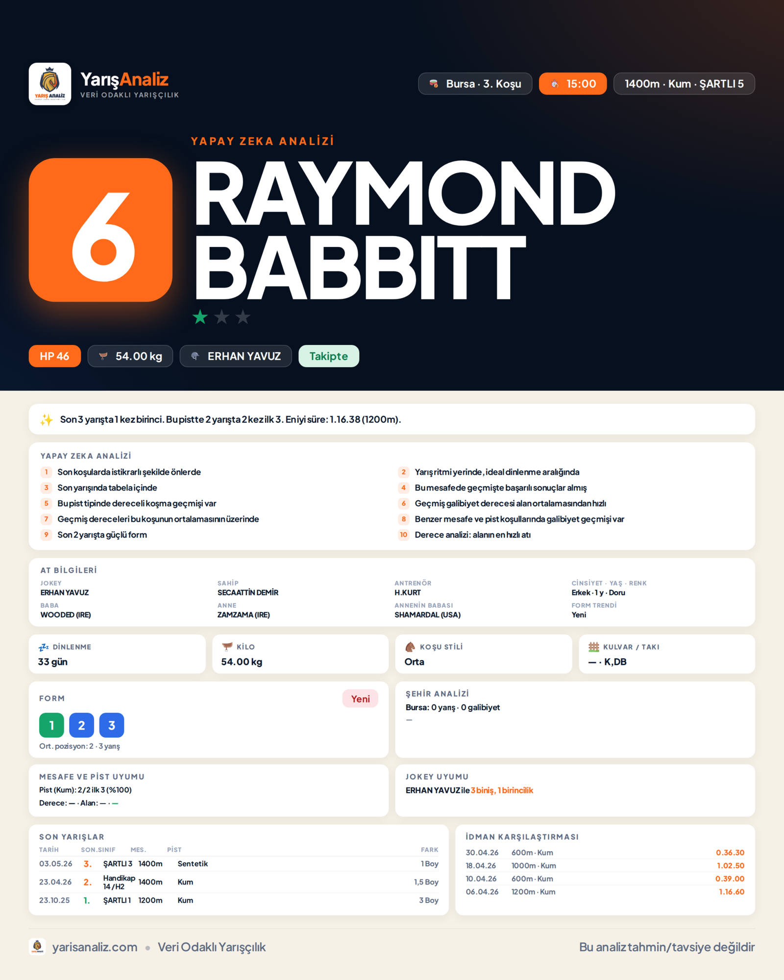 RAYMOND BABBITT - Bursa 3. Koşu analizi