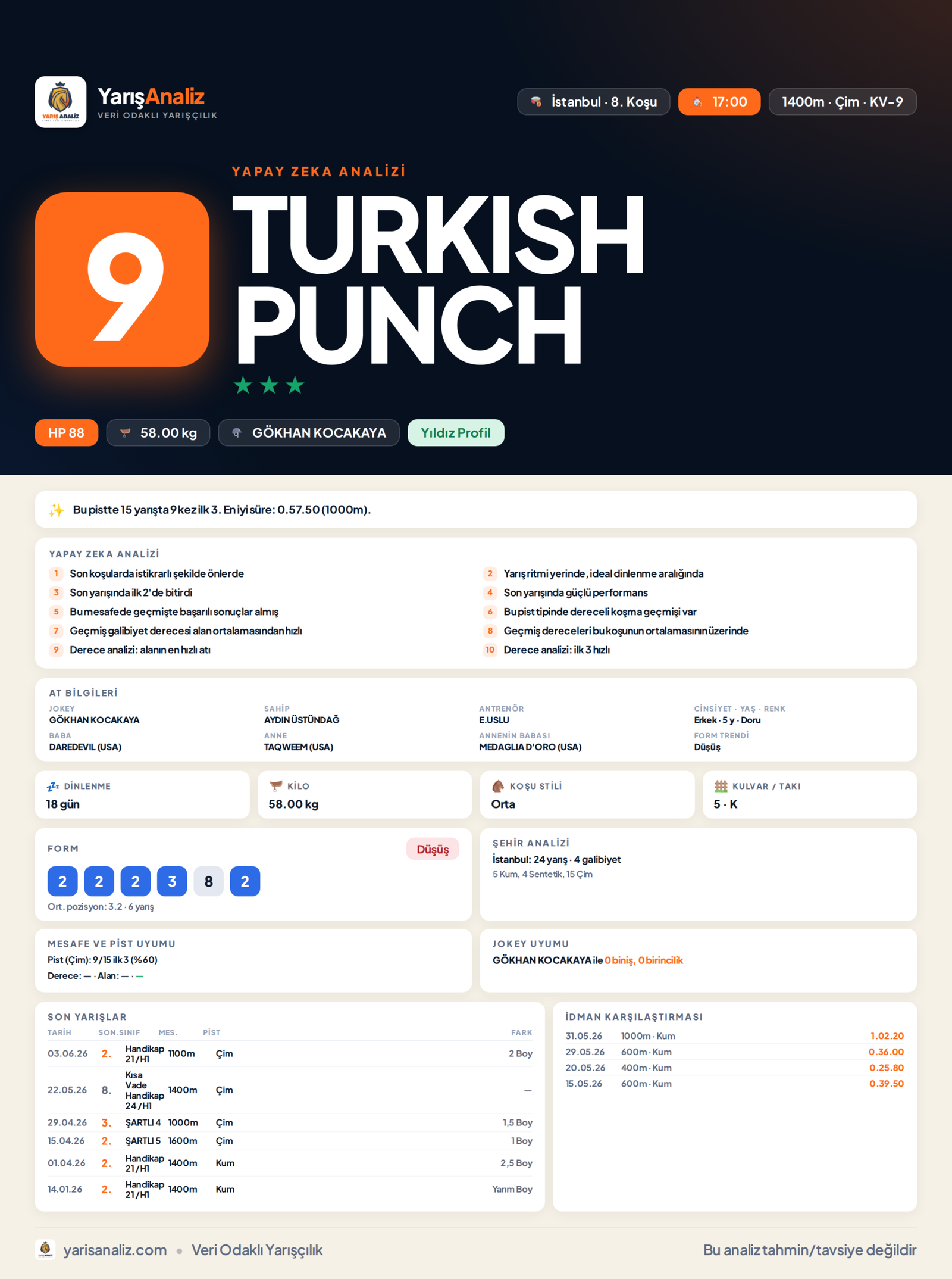 TURKISH PUNCH - İstanbul 8. Koşu analizi