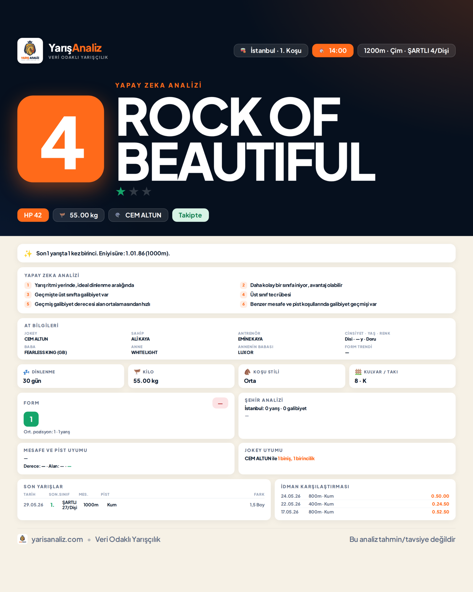 ROCK OF BEAUTIFUL - İstanbul 1. Koşu analizi