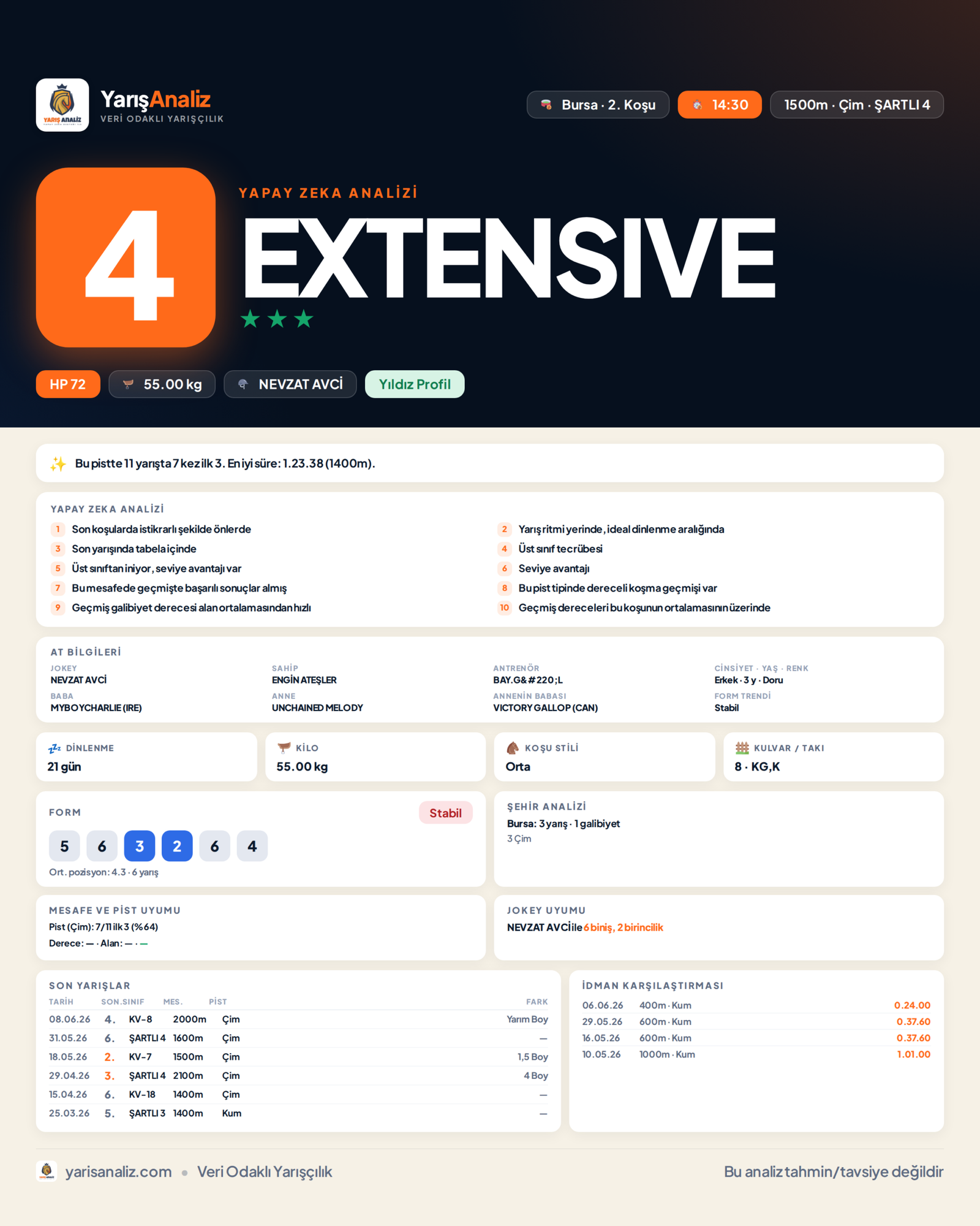 EXTENSIVE - Bursa 2. Koşu analizi