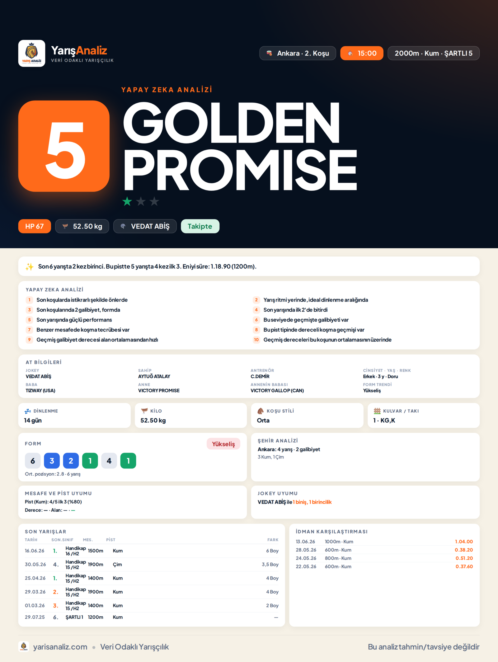 GOLDEN PROMISE - Ankara 2. Koşu analizi