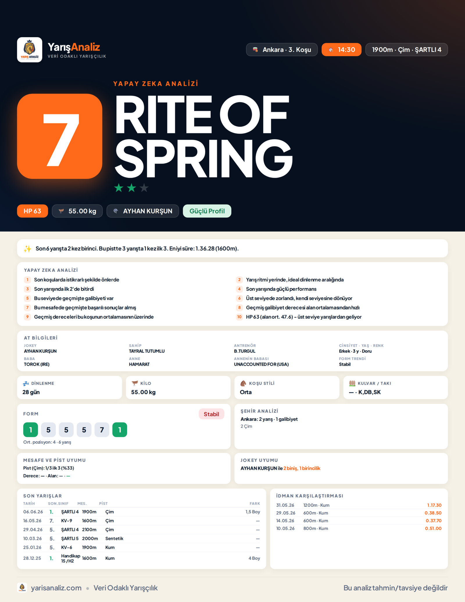 RITE OF SPRING - Ankara 3. Koşu analizi