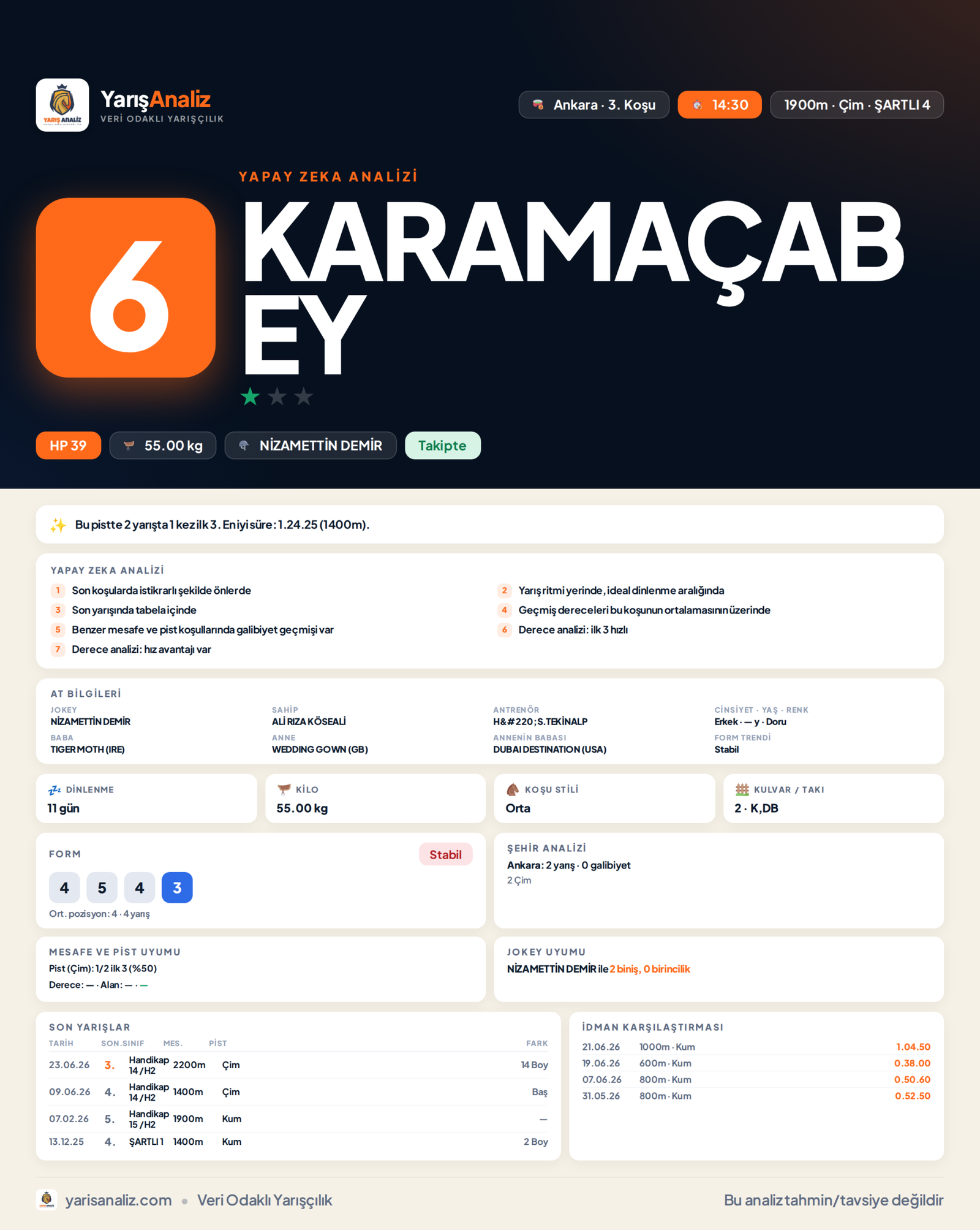 KARAMAÇABEY - Ankara 3. Koşu analizi
