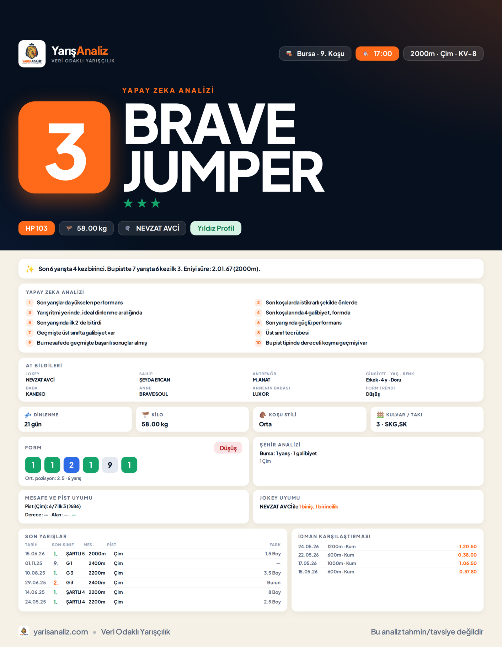 BRAVE JUMPER - Bursa 9. Koşu analizi