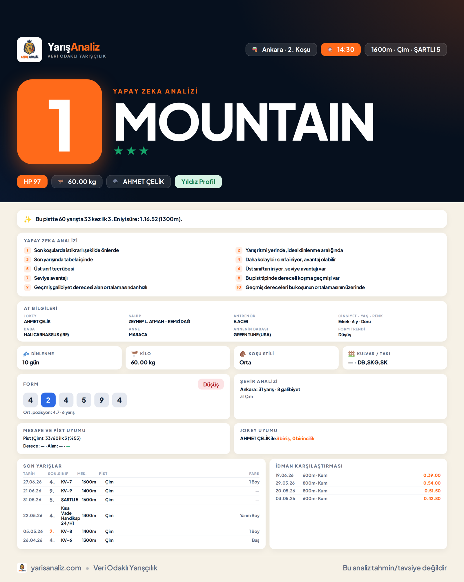 MOUNTAIN - Ankara 2. Koşu analizi