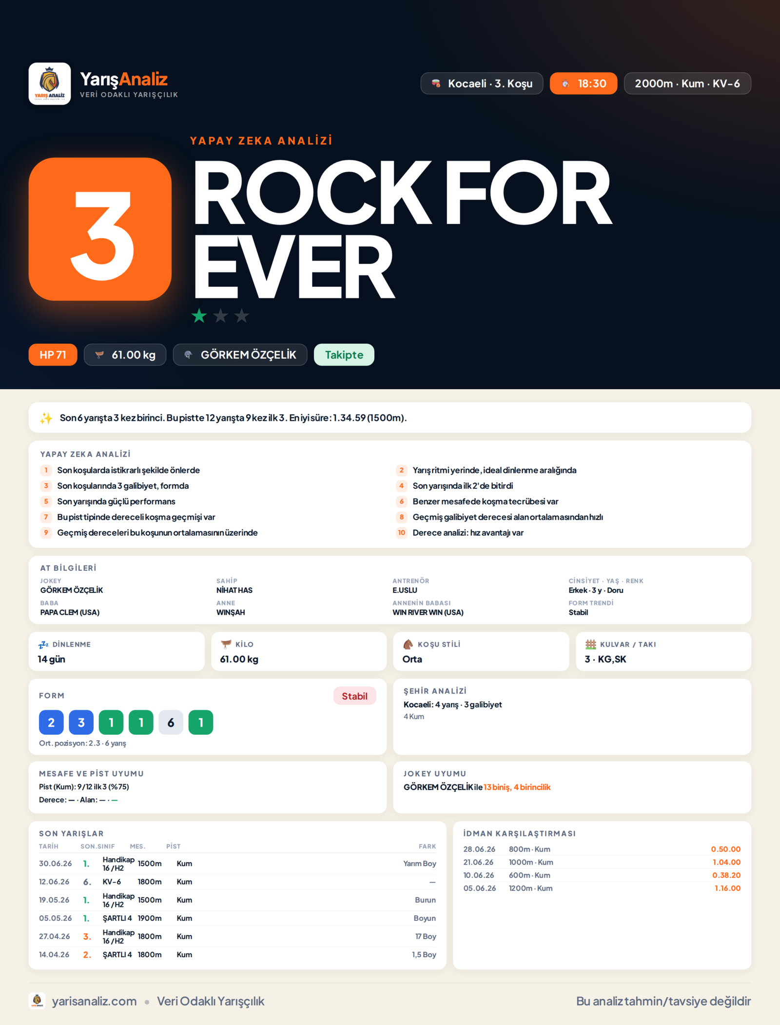 ROCK FOR EVER - Kocaeli 3. Koşu analizi